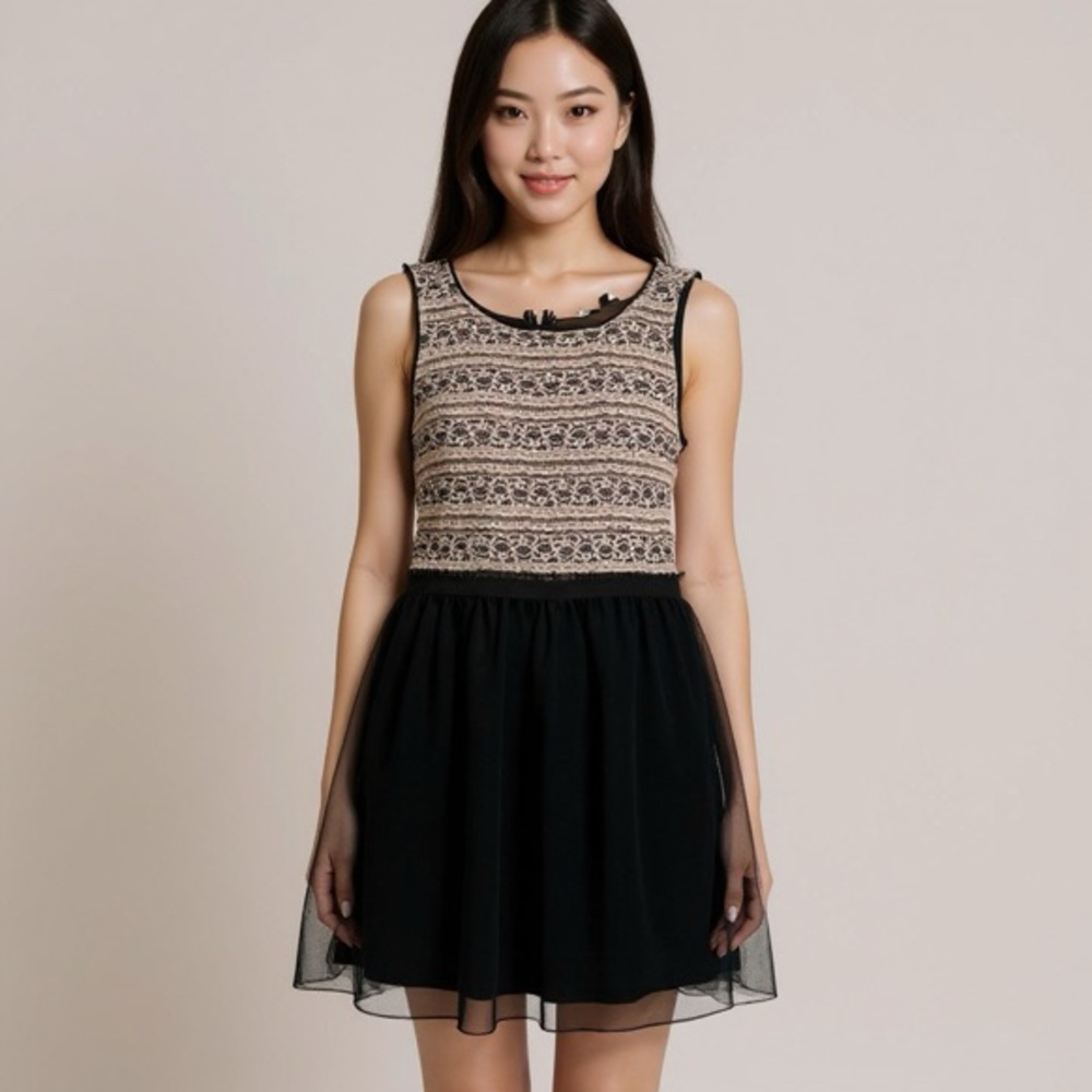 NWT Elegant Black and Cream Dress - Lace Top and Flowy Chiffon bottom - Zip Up